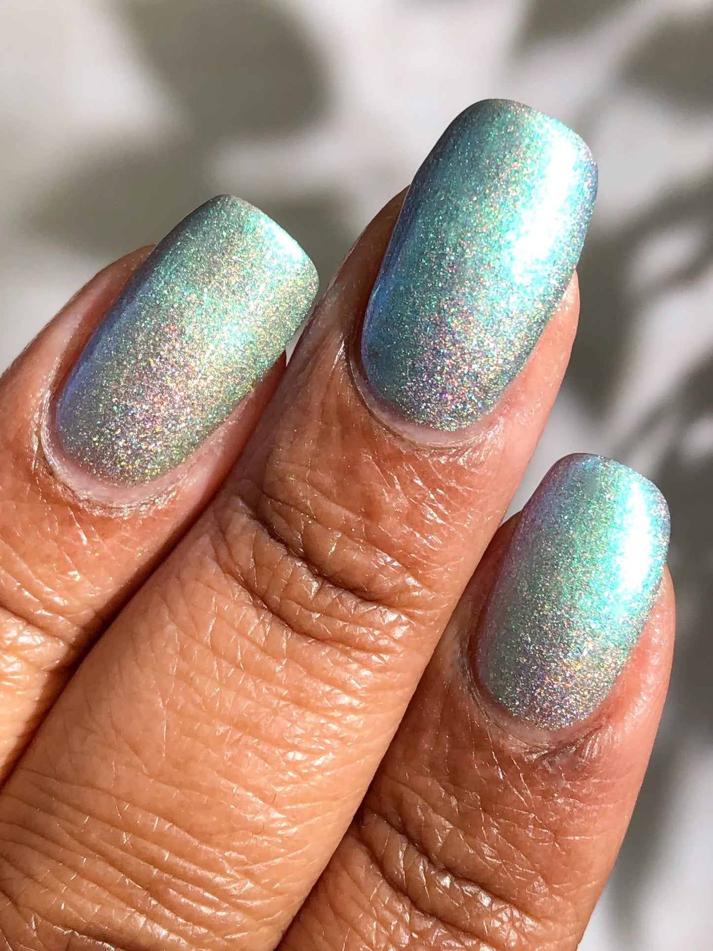 PREORDER: This Ass is Killer, Bella