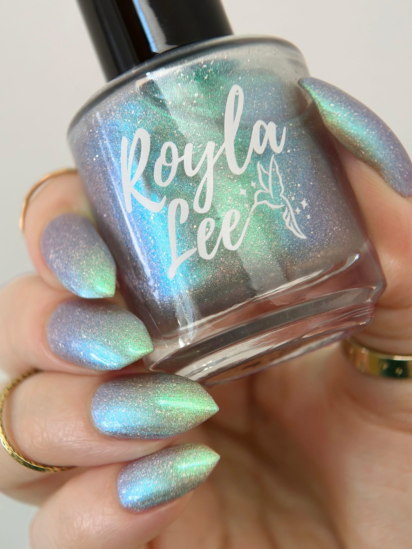 PREORDER: This Ass is Killer, Bella