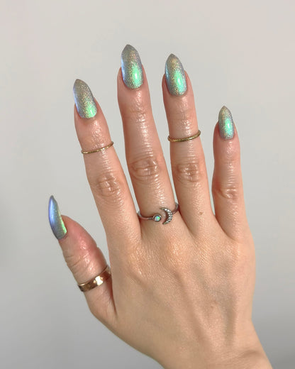 PREORDER: This Ass is Killer, Bella