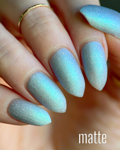 PREORDER: This Ass is Killer, Bella