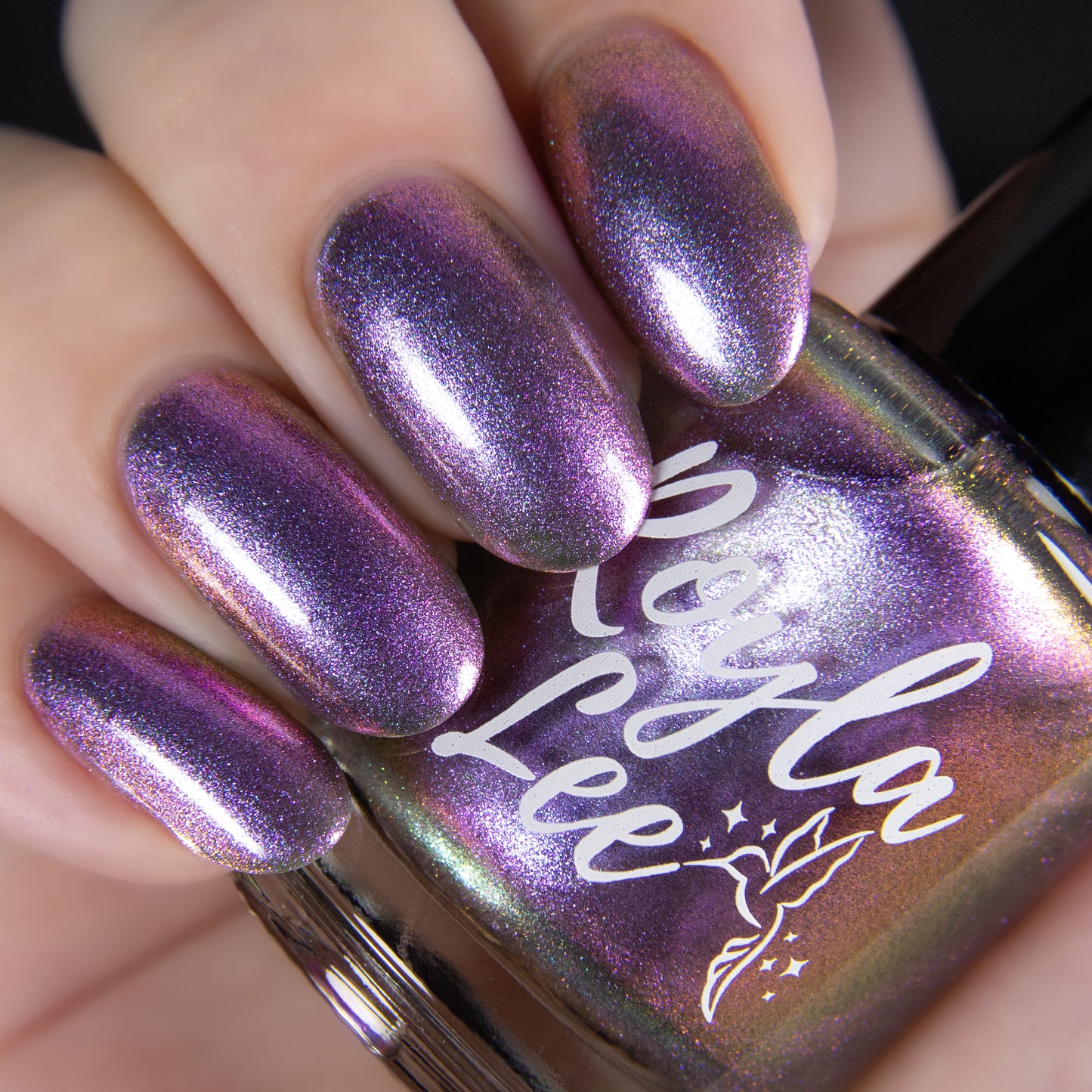 PREORDER: Moon Snail