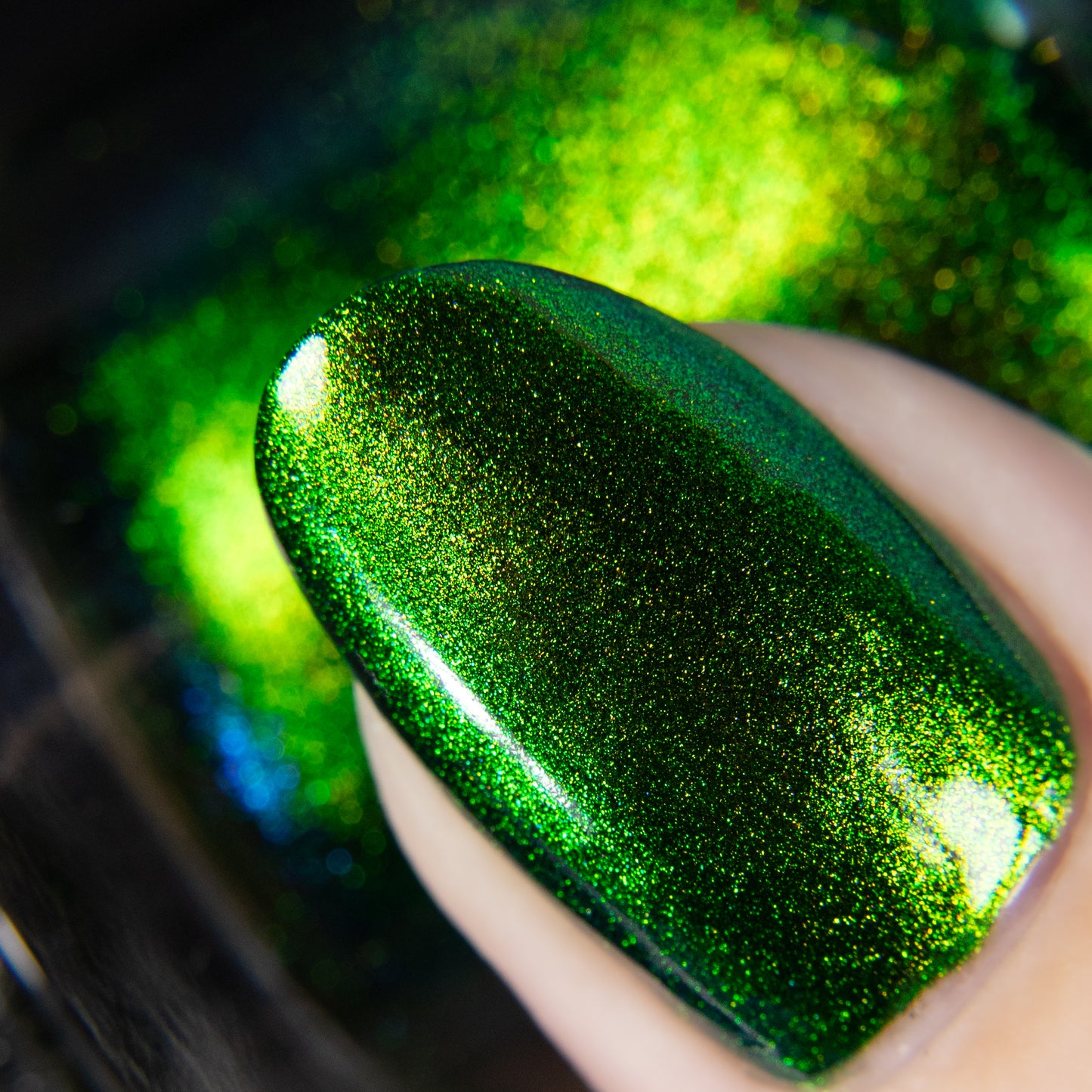 PREORDER: Beetle Wing