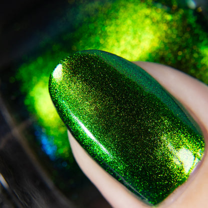 PREORDER: Beetle Wing