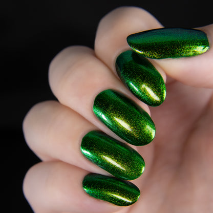 PREORDER: Beetle Wing