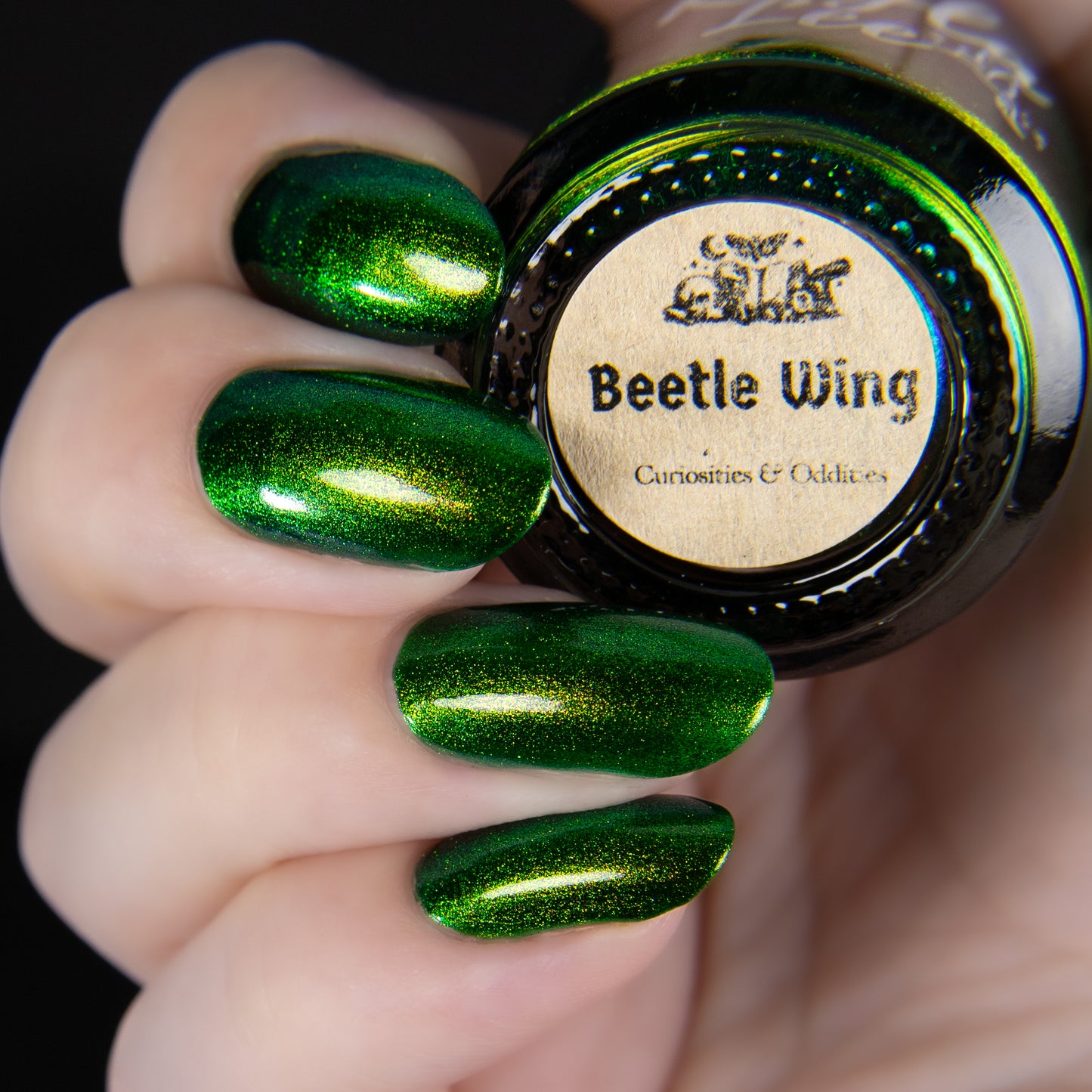 PREORDER: Beetle Wing