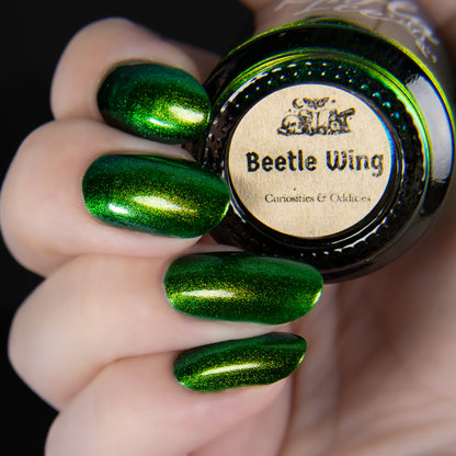 PREORDER: Beetle Wing