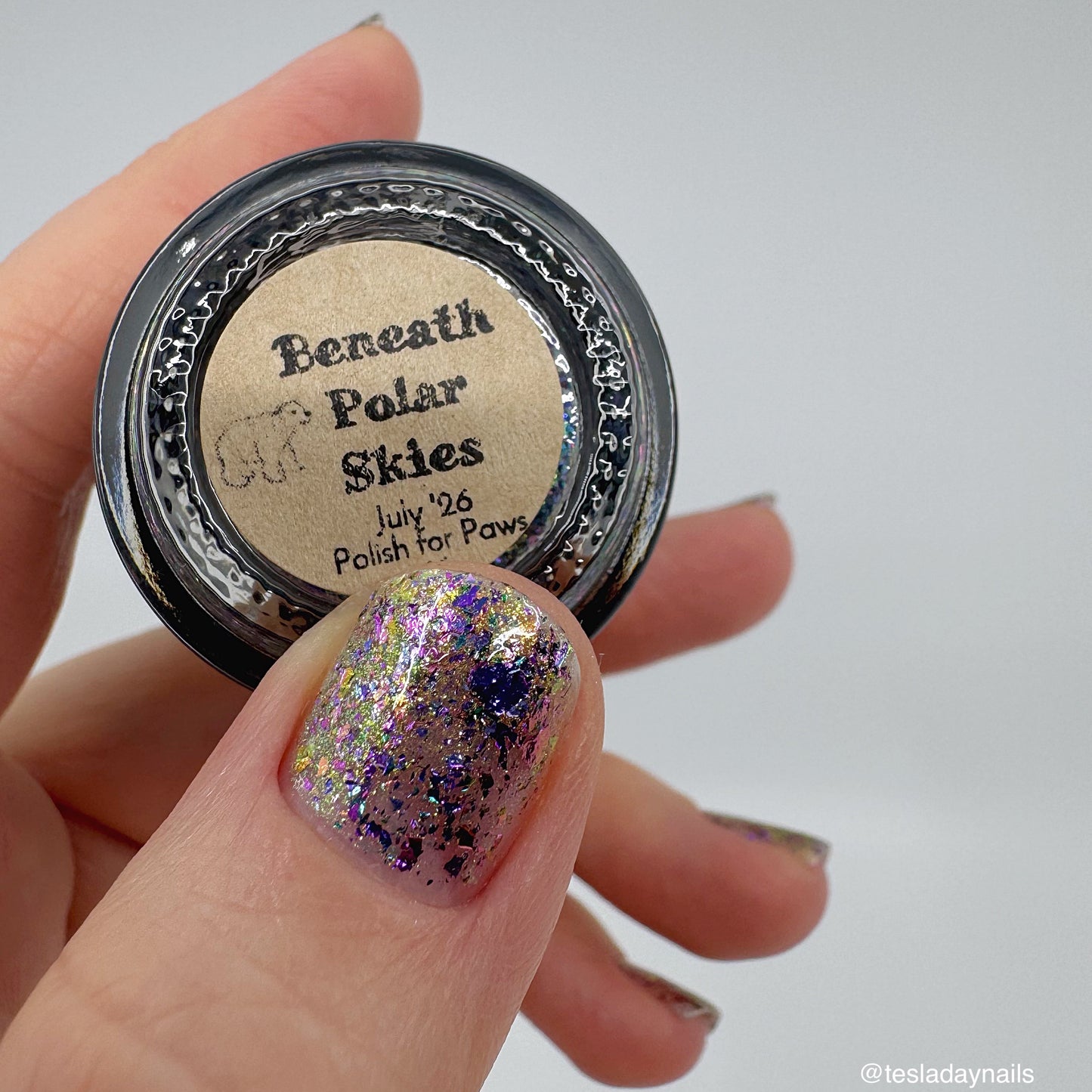 PREORDER: Polish for Paws - Beneath Polar Skies