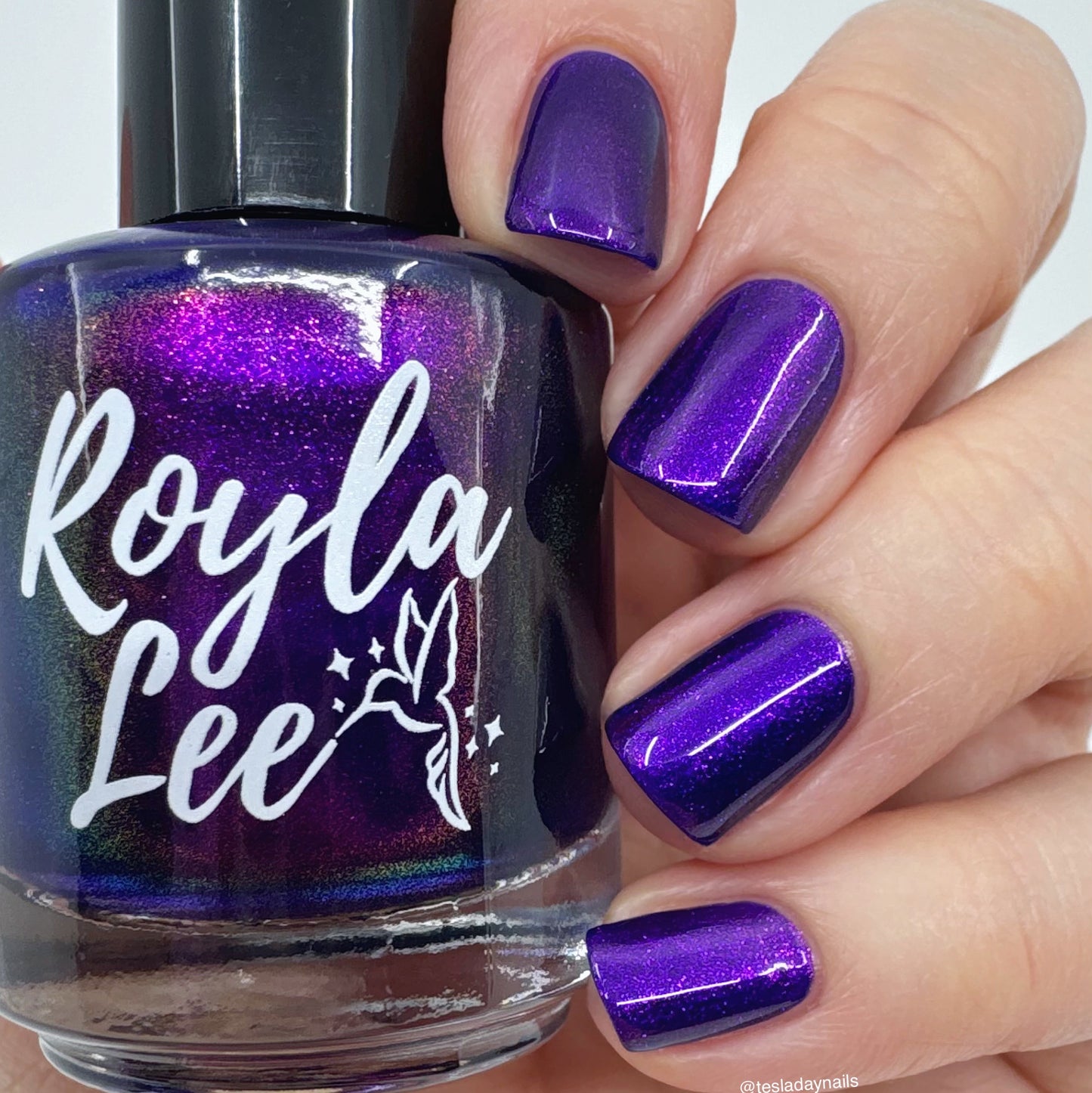 PREORDER: 2026 Alzheimer's Awareness - Tregi