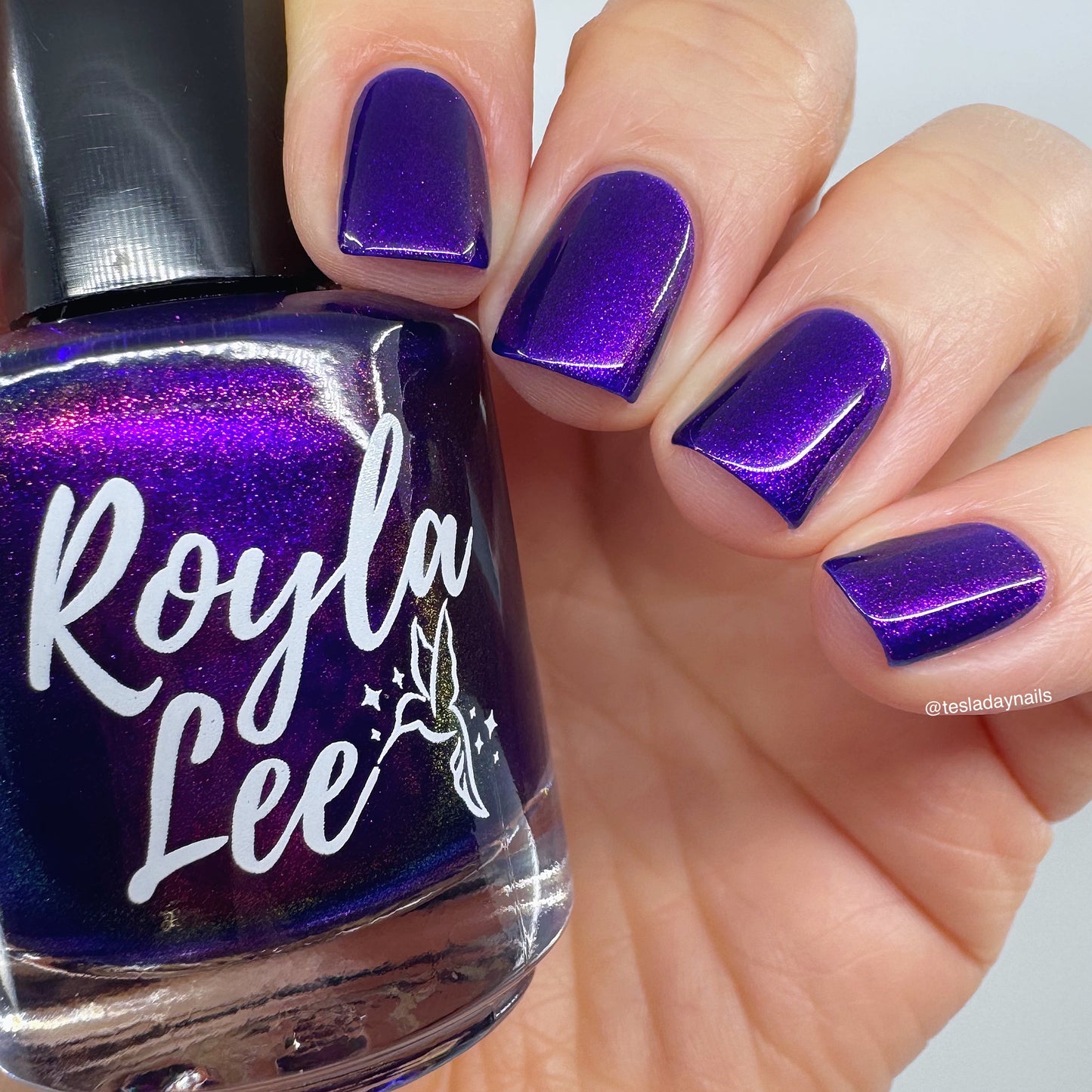 PREORDER: 2026 Alzheimer's Awareness - Tregi