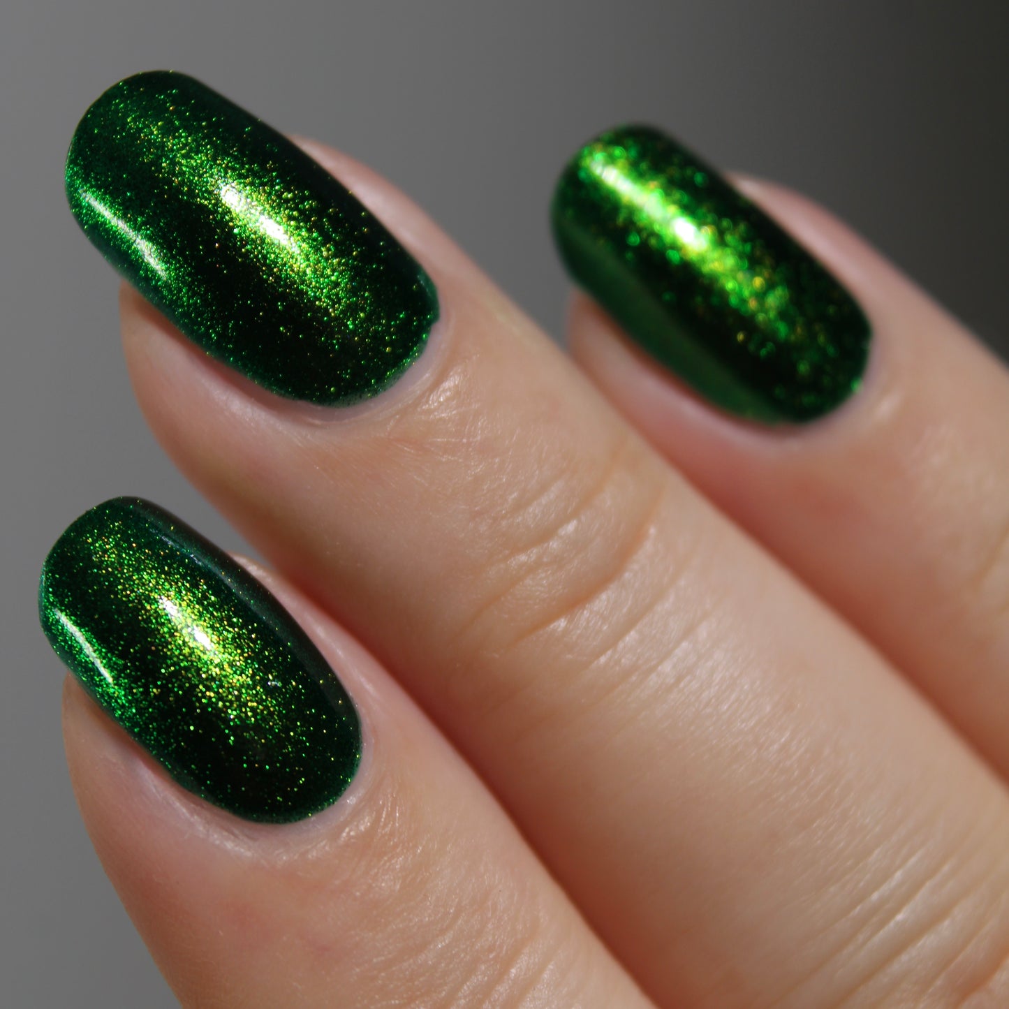 PREORDER: Beetle Wing