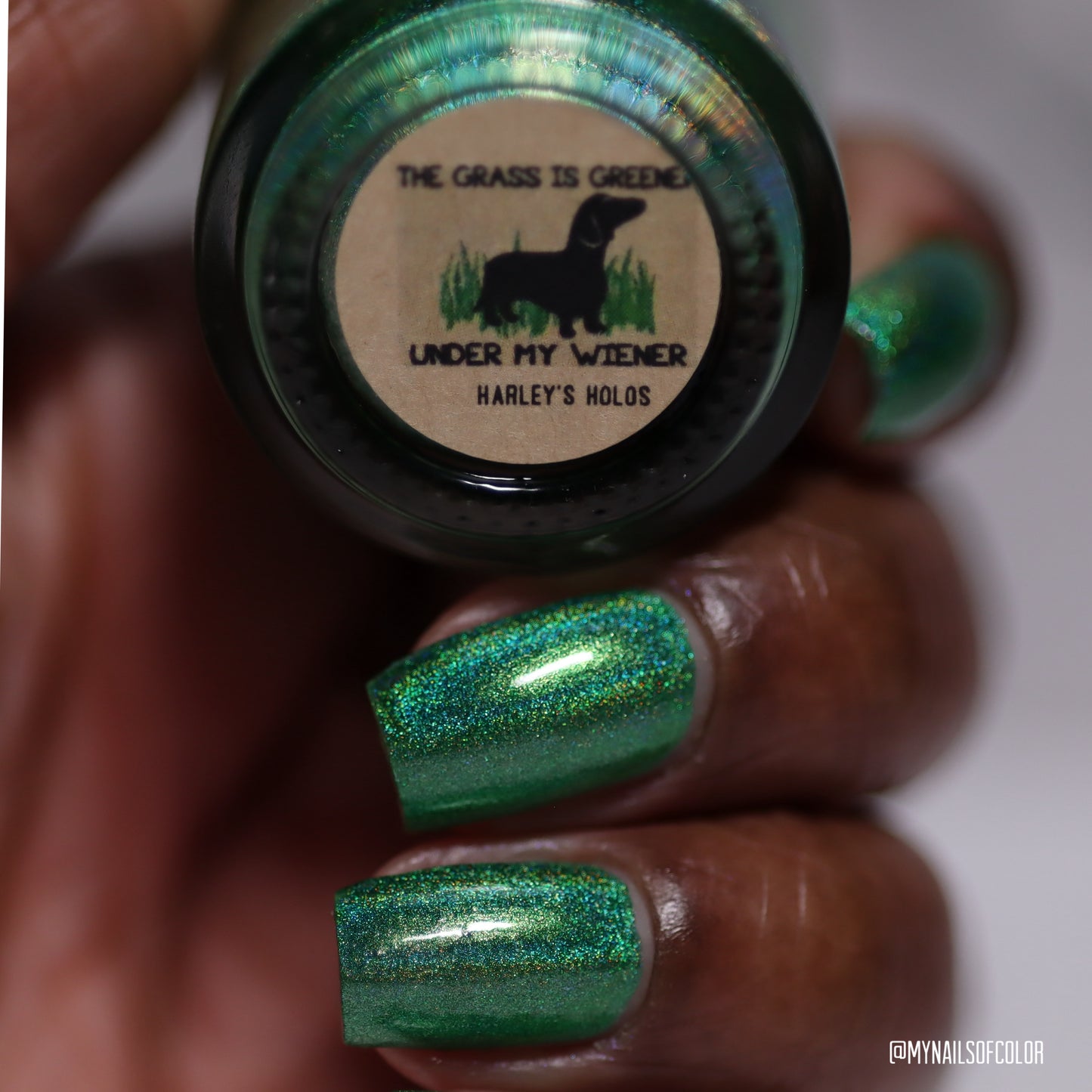 PREORDER: The Grass is Greener Under My Wiener