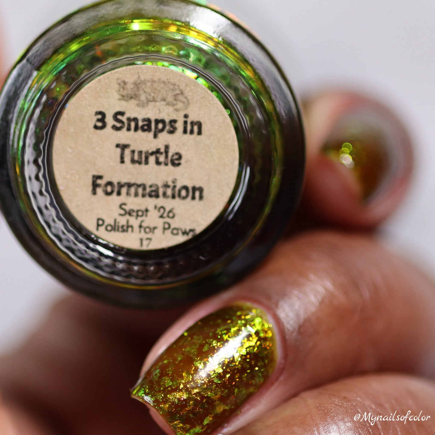 PREORDER: Polish for Paws - 3 Snaps in Turtle Formation
