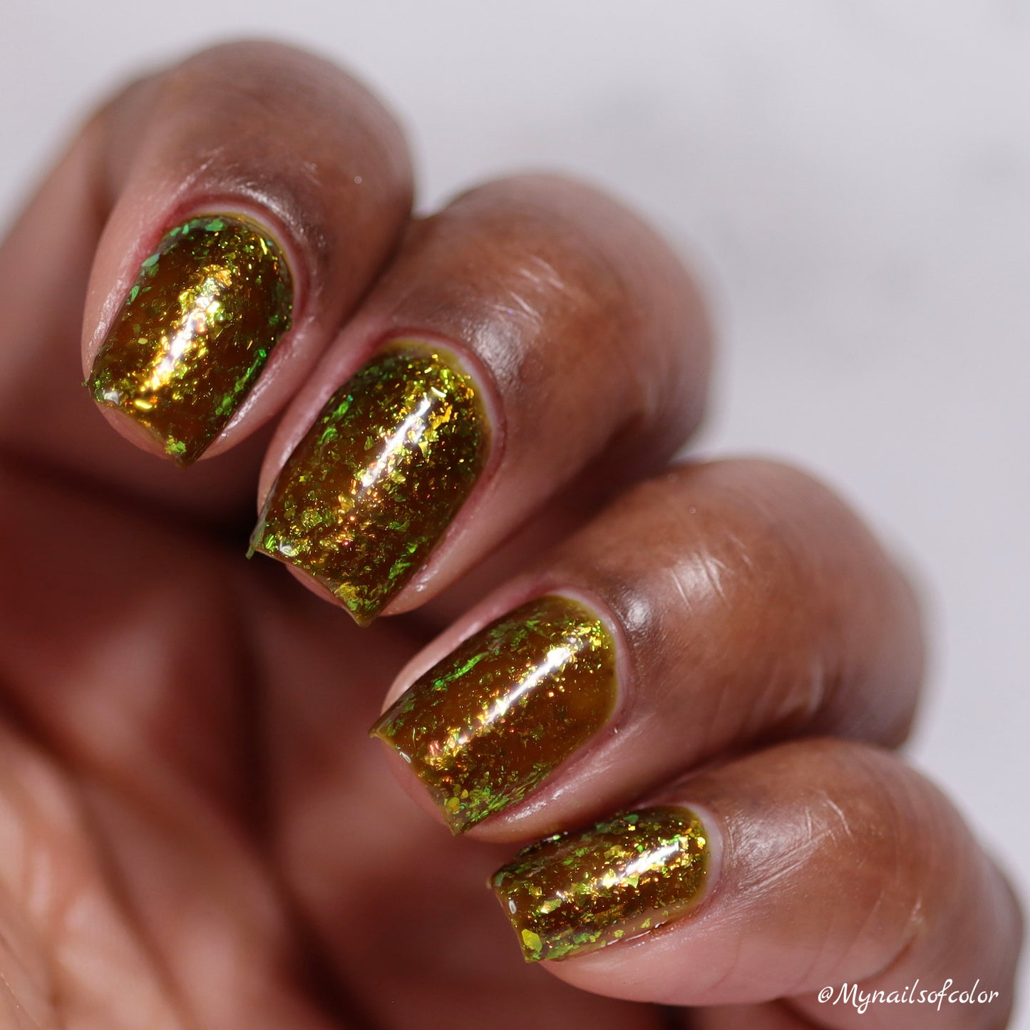PREORDER: Polish for Paws - 3 Snaps in Turtle Formation