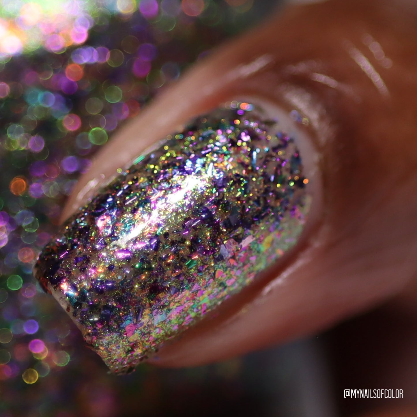 PREORDER: Polish for Paws - Beneath Polar Skies