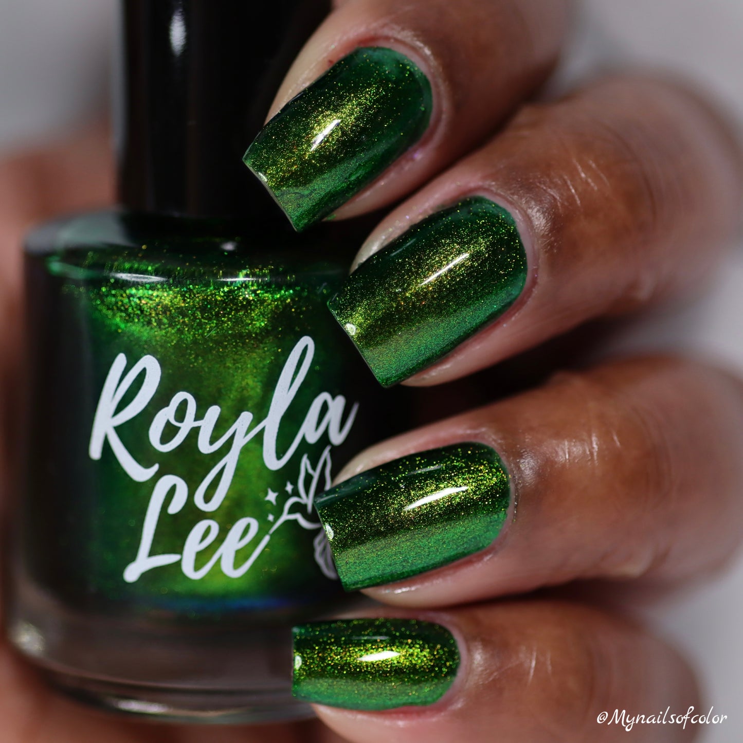 PREORDER: Beetle Wing
