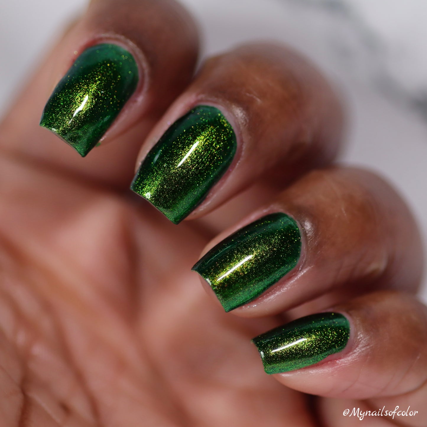 PREORDER: Beetle Wing