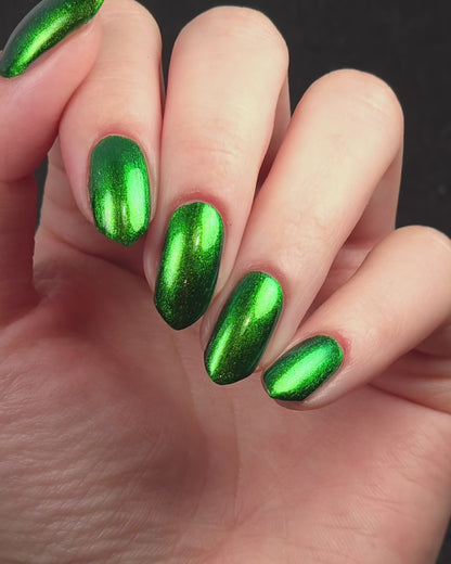 PREORDER: Beetle Wing
