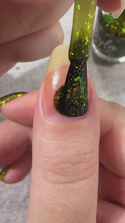 PREORDER: Polish for Paws - 3 Snaps in Turtle Formation