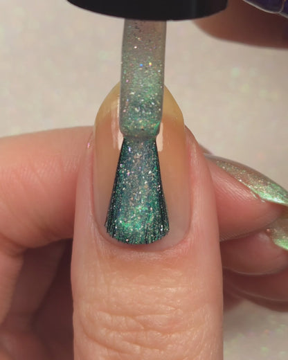 PREORDER: This Ass is Killer, Bella