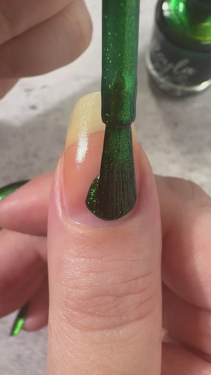 PREORDER: Beetle Wing