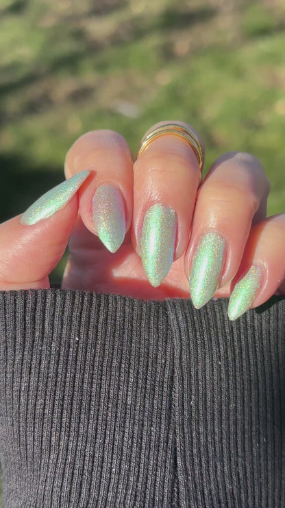 PREORDER: This Ass is Killer, Bella