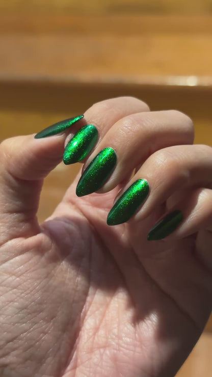 PREORDER: Beetle Wing