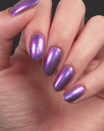 PREORDER: Moon Snail